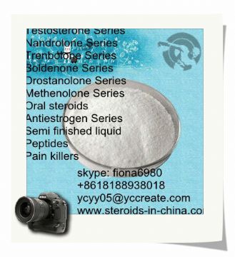 Mesterolone Raw Hormones Steroid Proviron Raw Testosterone Powder